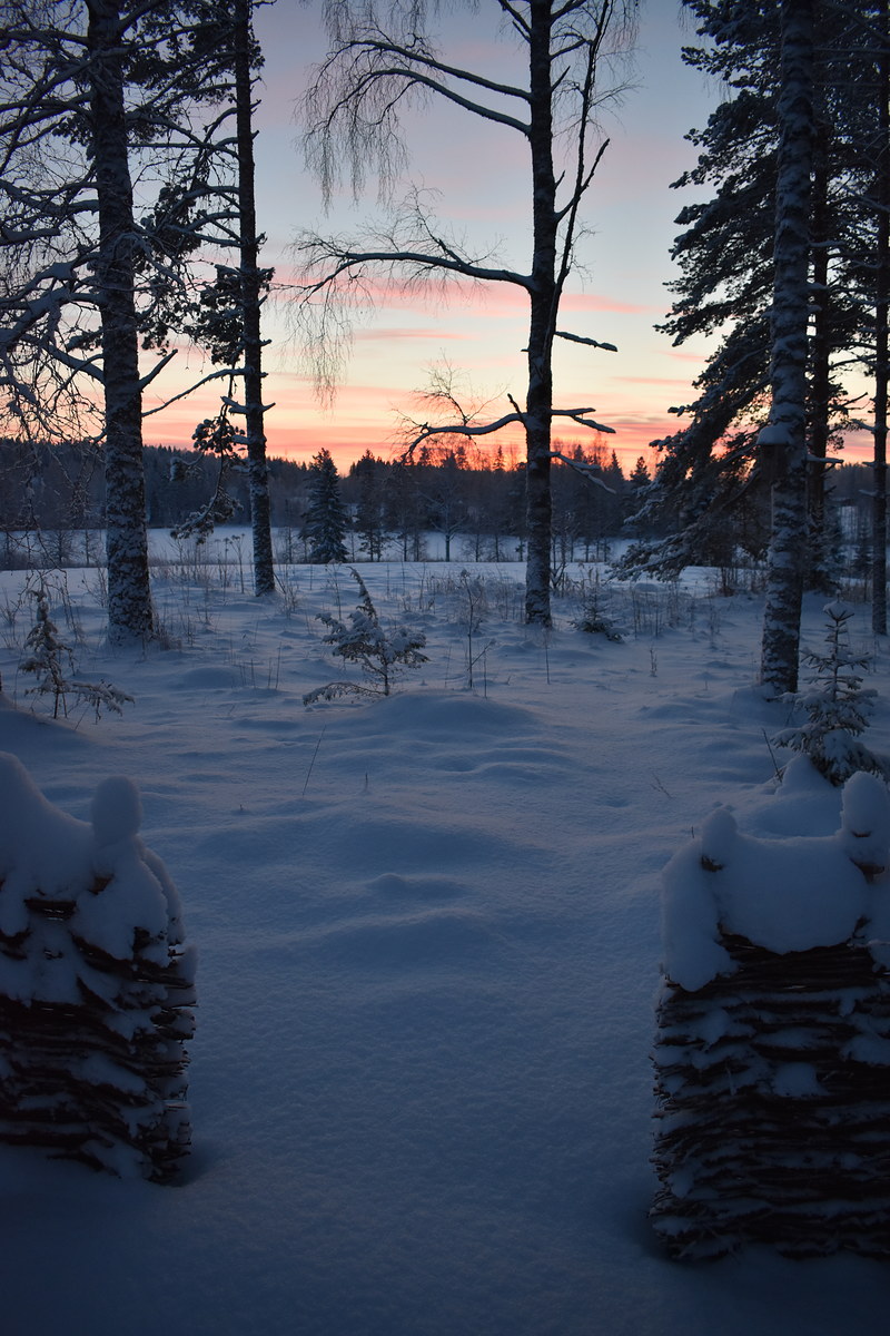 Kuvassa talvinen maisema